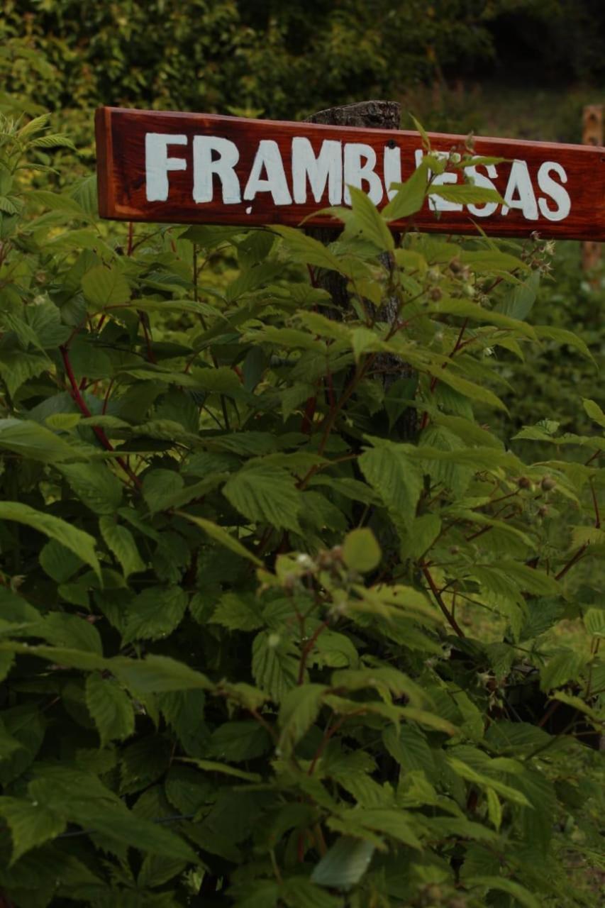 Criollo Lodge Hoyo de Epuyén 外观 照片